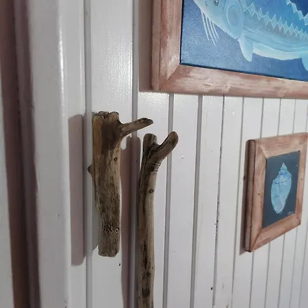 Corabia Santa Marina *