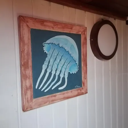 Corabia Santa Marina Sulina